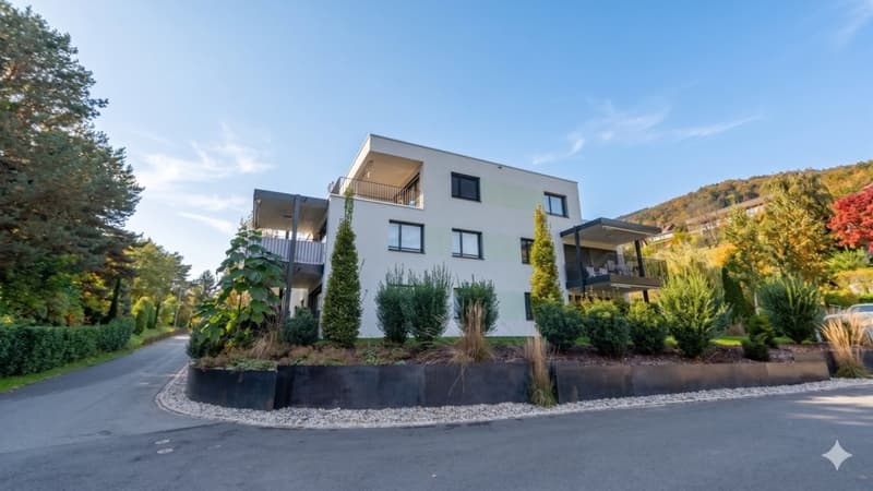GEMÜTLICHE UND GROSSZÜGIGE 3.5 ZIMMER-WOHNUNG IN REBSTEIN (1)