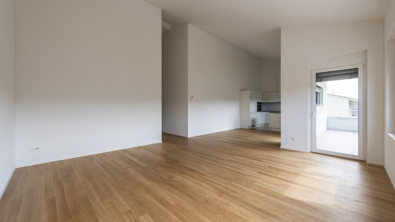 GROSSZÜGIGE UND HELLE NEUBAUWOHNUNG IN HITZKIRCH (5)