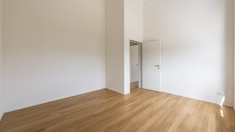 GROSSZÜGIGE UND HELLE NEUBAUWOHNUNG IN HITZKIRCH (6)
