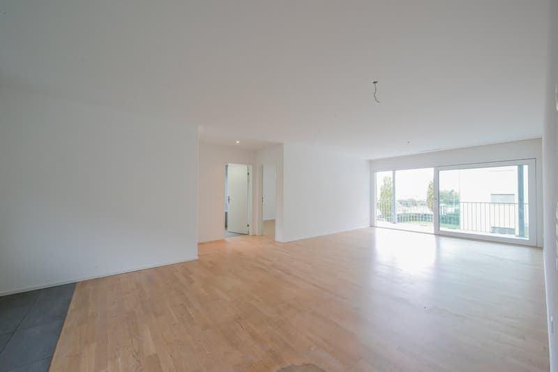 GEMÜTLICHE 3.5 ZIMMER-WOHNUNG IN BERINGEN (2)