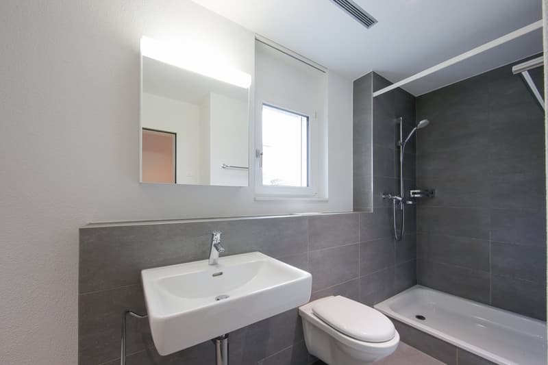 GEMÜTLICHE 3.5 ZIMMER-WOHNUNG IN BERINGEN (9)