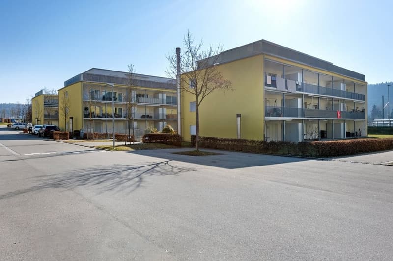 GEMÜTLICHE 3.5 ZIMMER-WOHNUNG IN BERINGEN (1)