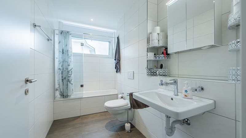 GEMÜTLICHE 3.5 ZIMMER-WOHNUNG IN REINACH ZU VERMIETEN (8)