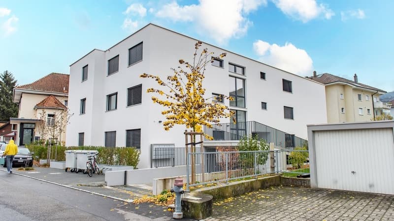GEMÜTLICHE 3.5 ZIMMER-WOHNUNG IN REINACH ZU VERMIETEN (1)