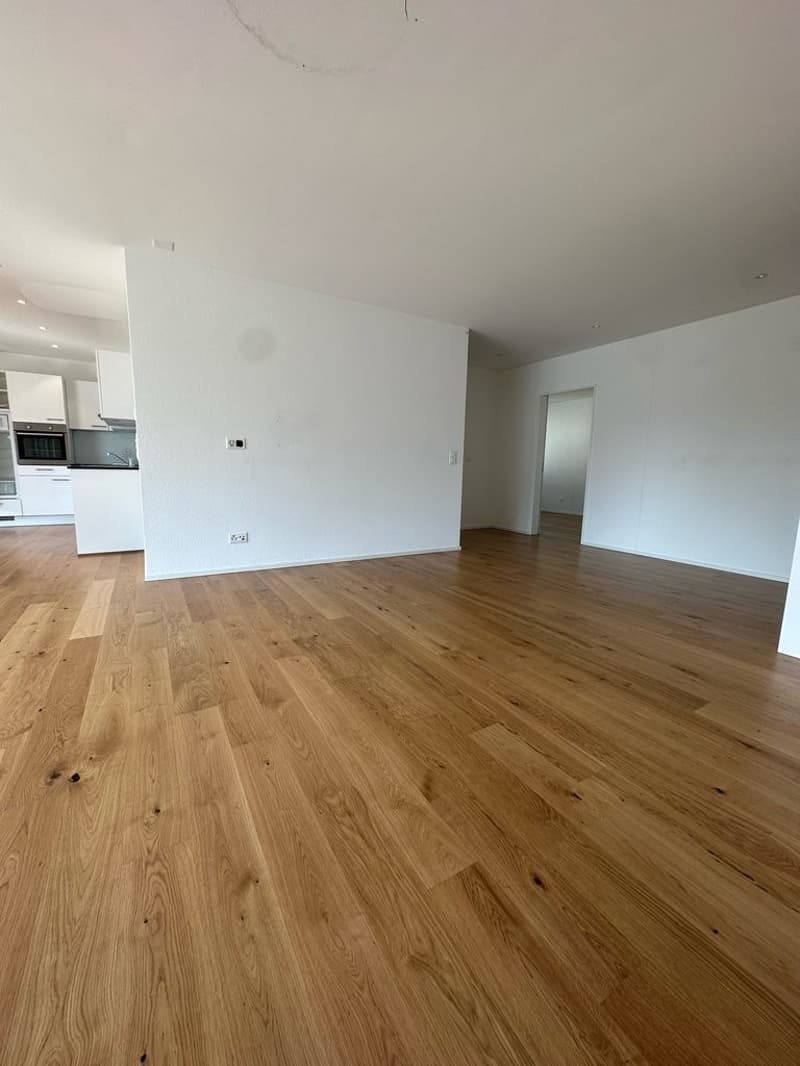GEMÜTLICHE 3.5 ZIMMER-WOHNUNG IN REINACH ZU VERMIETEN (2)