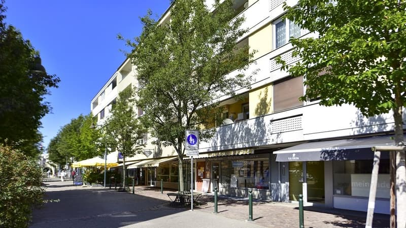 GEMÜTLICHE WOHNUNG IN BIRSFELDEN ZU VERMIETEN (8)