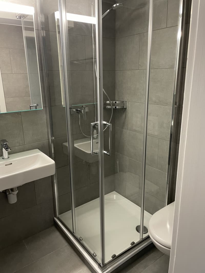 Studio renoviert und möbliert (3)