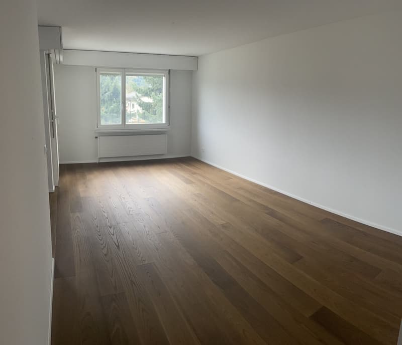 2,5-Zimmer-Wohnung (3)