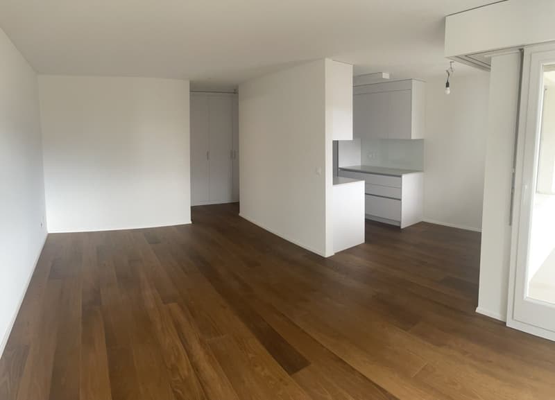 2,5-Zimmer-Wohnung (1)