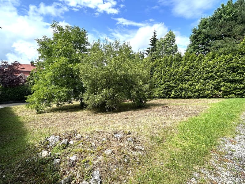 Zelgliweg, 5012 Schönenwerd