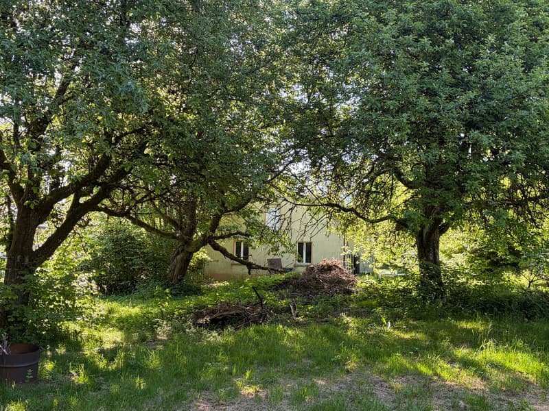 FREISTEHENDES EFH MIT NEBENGEBÄUDE UND WALD AUF 2 PARZELLEN MIT TOTAL 2‘461 M2 AN RUHIGER LAGE (3)