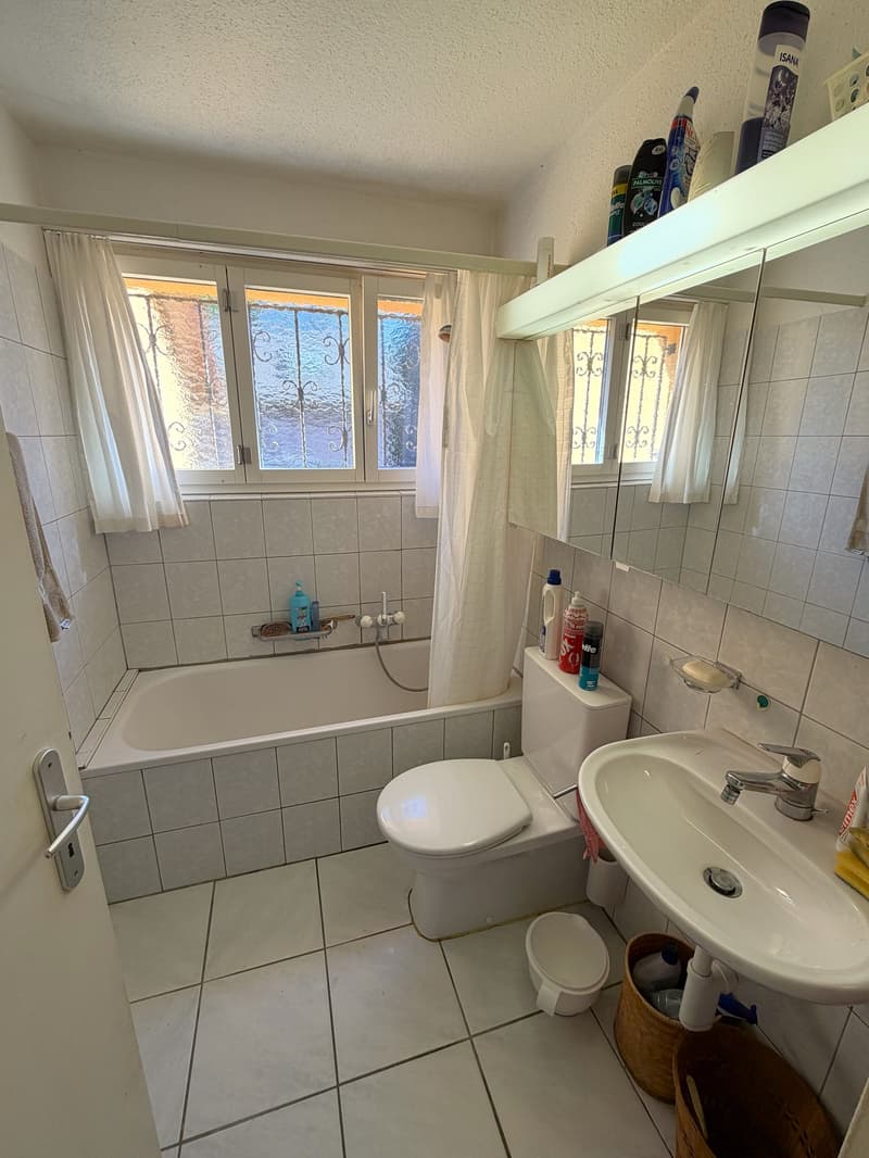 FREISTEHENDES EFH MIT NEBENGEBÄUDE UND WALD AUF 2 PARZELLEN MIT TOTAL 2‘461 M2 AN RUHIGER LAGE (7)