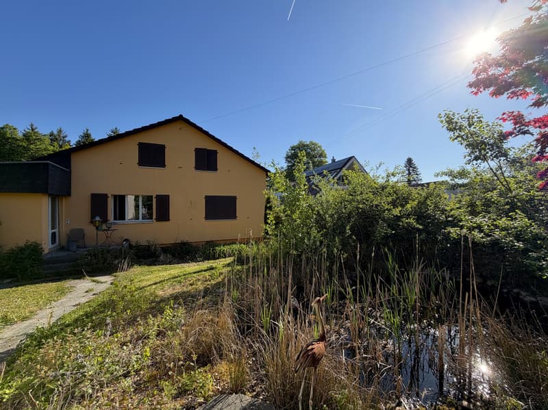 FREISTEHENDES EFH MIT NEBENGEBÄUDE UND WALD AUF 2 PARZELLEN MIT TOTAL 2‘461 M2 AN RUHIGER LAGE (2)
