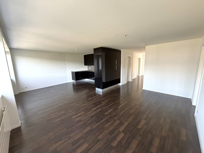 Helle 4.5-Zimmer-Wohnung mit Balkon, Lift und Aussicht in Olten (1)