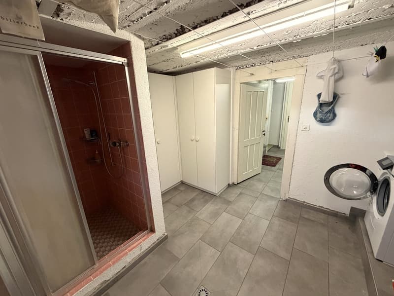ZWEIFAMILIENHAUS / GENERATIONENHAUS / ARBEITEN UND WOHNEN UNTER EINEM DACH (19)