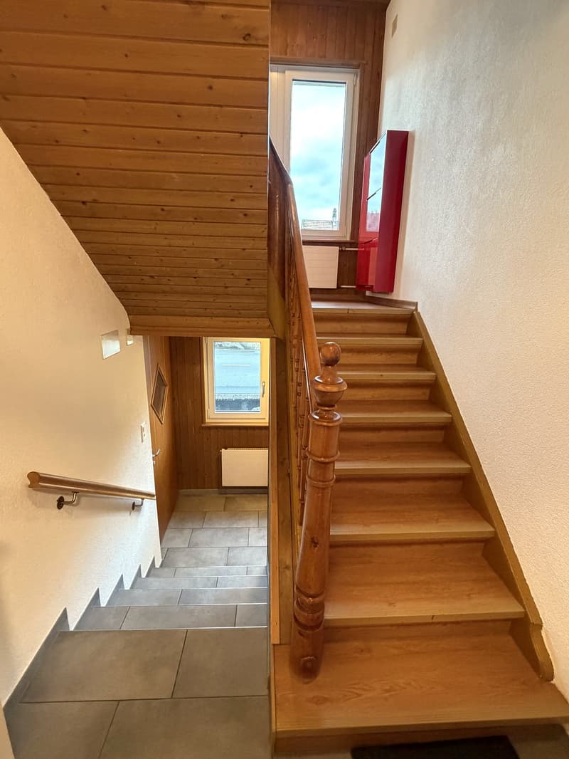 ZWEIFAMILIENHAUS / GENERATIONENHAUS / ARBEITEN UND WOHNEN UNTER EINEM DACH (9)