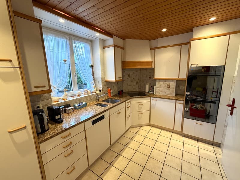ZWEIFAMILIENHAUS / GENERATIONENHAUS / ARBEITEN UND WOHNEN UNTER EINEM DACH (8)