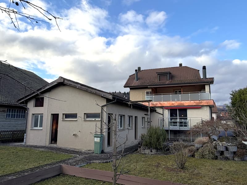 ZWEIFAMILIENHAUS / GENERATIONENHAUS / ARBEITEN UND WOHNEN UNTER EINEM DACH (2)