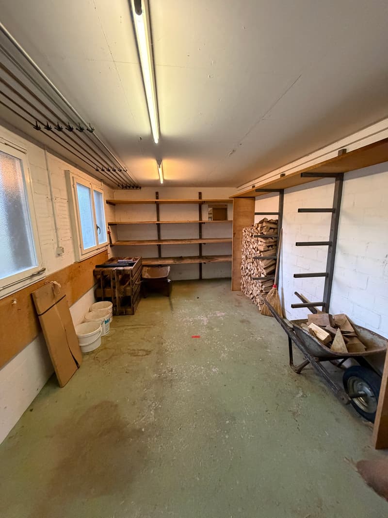 ZWEIFAMILIENHAUS / GENERATIONENHAUS / ARBEITEN UND WOHNEN UNTER EINEM DACH (20)