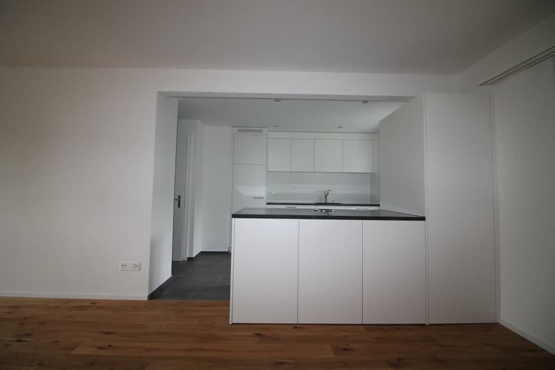 DEFH MIT GARAGE AN ZENTRALER LAGE IN KAPPEL ZU VERKAUFEN (4)