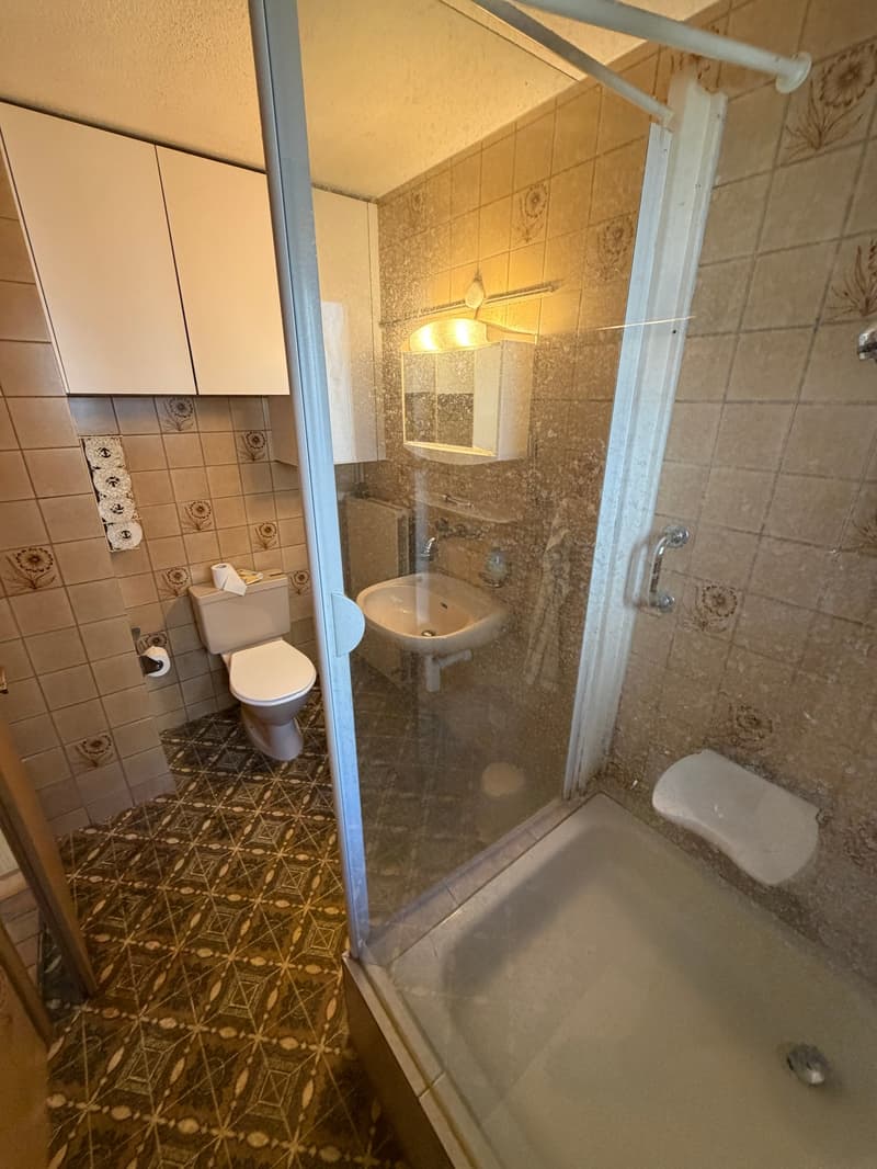 DEFH, IDEAL FÜR HANDWERKER, WARTET AUF NEUE BESITZER (12)