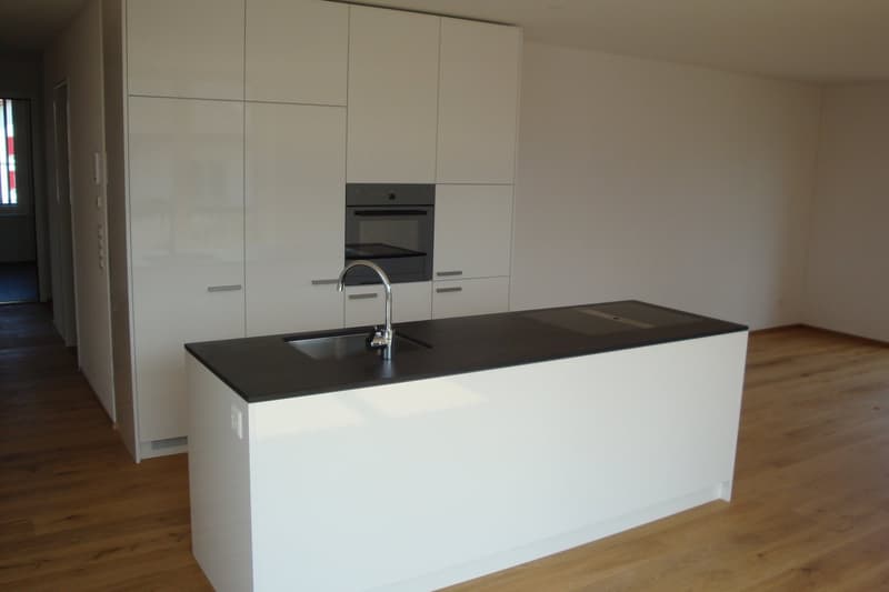 modern kitchen with white cabinets, black countertop, stainless steel sink, faucet, built-in oven