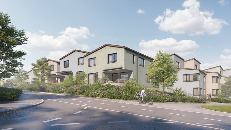 Neubauprojekt im grünen in Benzenschwil AG (1)
