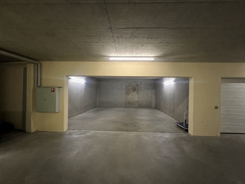 Exklusive 6.5-Zimmer-Eigentumswohnung in der Nähe von Basel (9)