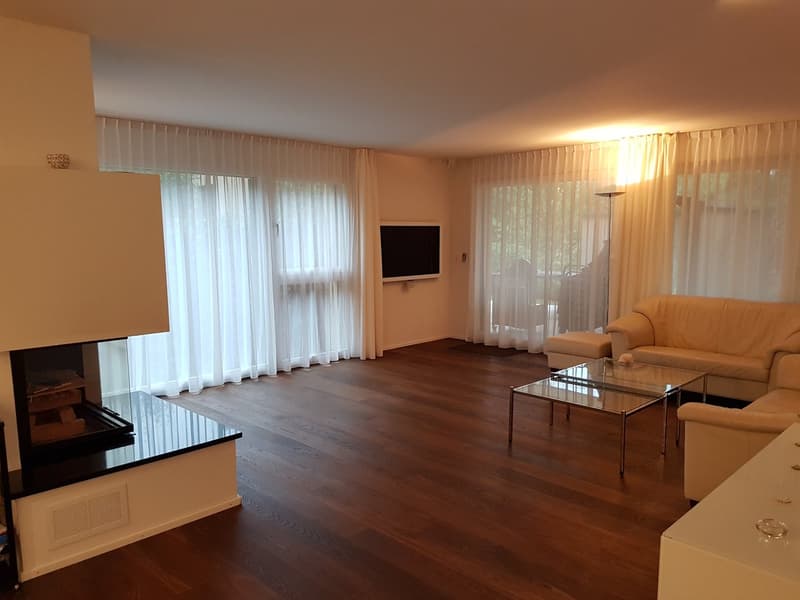 Exklusive 6.5-Zimmer-Eigentumswohnung in der Nähe von Basel (3)