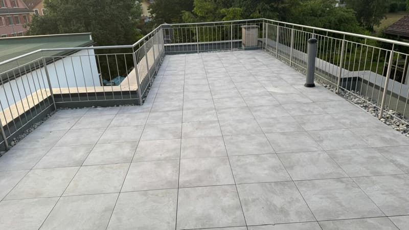 Einzigartige Dachgeschosswohnung (5,5 Zimmer) mit grosser Terrasse (22)