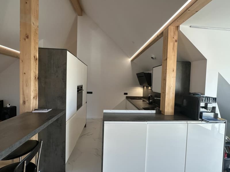 Einzigartige Dachgeschosswohnung (5,5 Zimmer) mit grosser Terrasse (29)