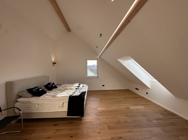 Einzigartige Dachgeschosswohnung (5,5 Zimmer) mit grosser Terrasse (3)