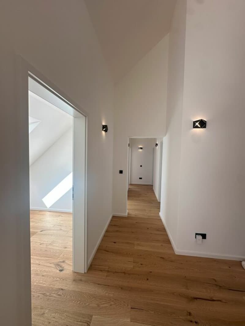 Einzigartige Dachgeschosswohnung (5,5 Zimmer) mit grosser Terrasse (16)