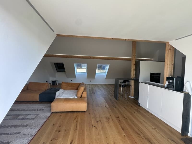 Einzigartige Dachgeschosswohnung (5,5 Zimmer) mit grosser Terrasse (8)