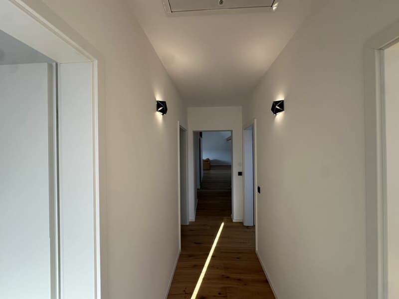Einzigartige Dachgeschosswohnung (5,5 Zimmer) mit grosser Terrasse (28)