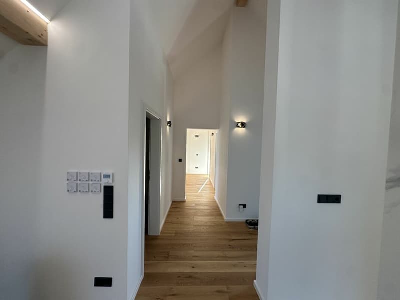 Einzigartige Dachgeschosswohnung (5,5 Zimmer) mit grosser Terrasse (25)