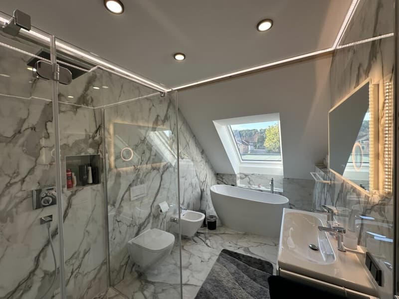 Einzigartige Dachgeschosswohnung (5,5 Zimmer) mit grosser Terrasse (4)