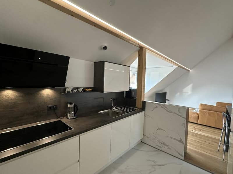 Einzigartige Dachgeschosswohnung (5,5 Zimmer) mit grosser Terrasse (5)