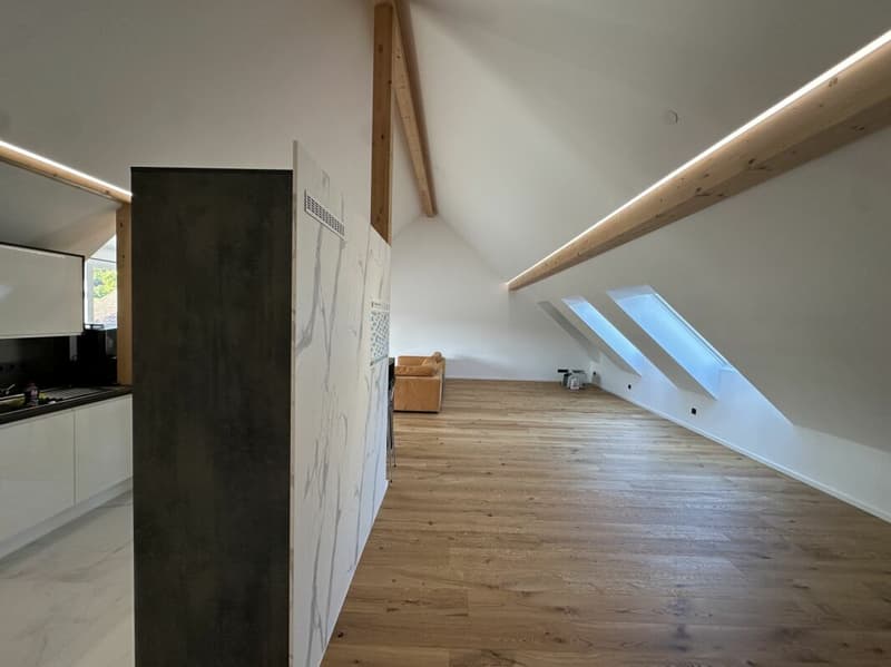 Einzigartige Dachgeschosswohnung (5,5 Zimmer) mit grosser Terrasse (6)