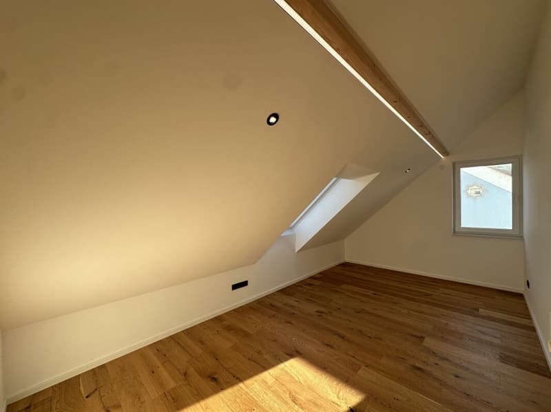 Einzigartige Dachgeschosswohnung (5,5 Zimmer) mit grosser Terrasse (26)