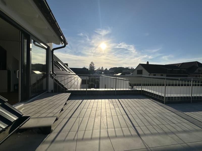 Einzigartige Dachgeschosswohnung (5,5 Zimmer) mit grosser Terrasse (2)