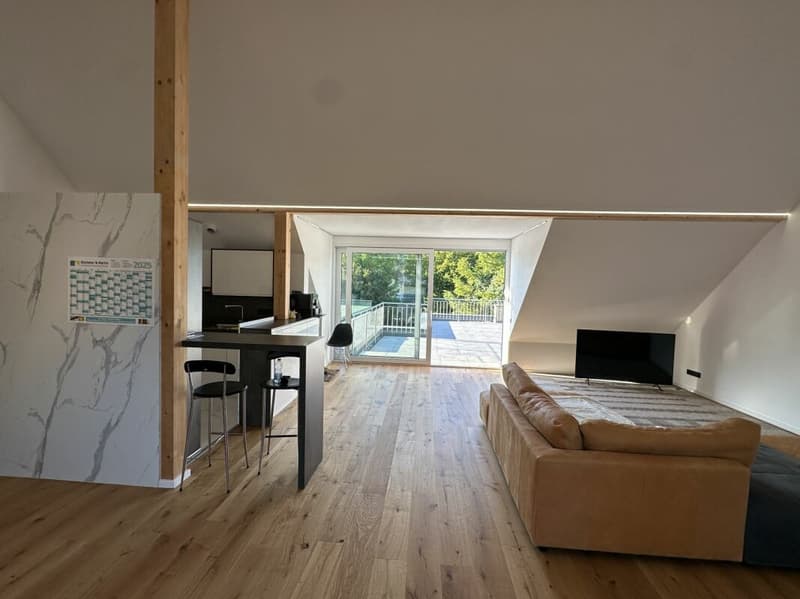 Einzigartige Dachgeschosswohnung (5,5 Zimmer) mit grosser Terrasse (7)