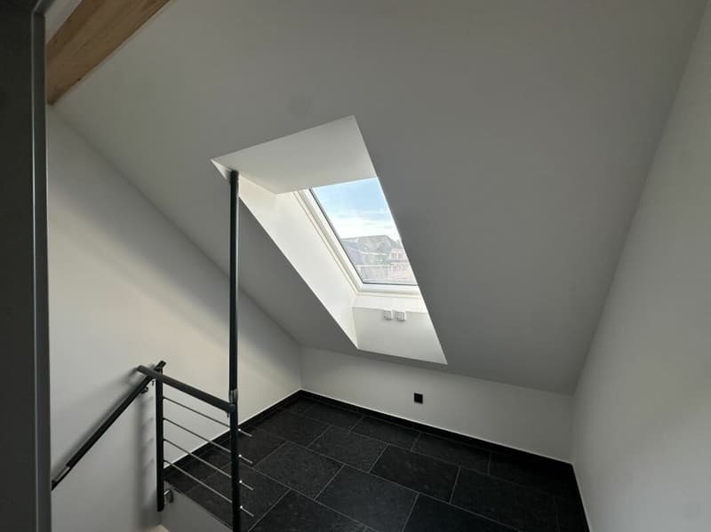Einzigartige Dachgeschosswohnung (5,5 Zimmer) mit grosser Terrasse (27)