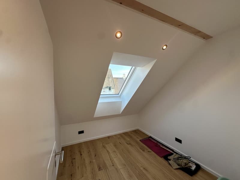 Einzigartige Dachgeschosswohnung (5,5 Zimmer) mit grosser Terrasse (10)