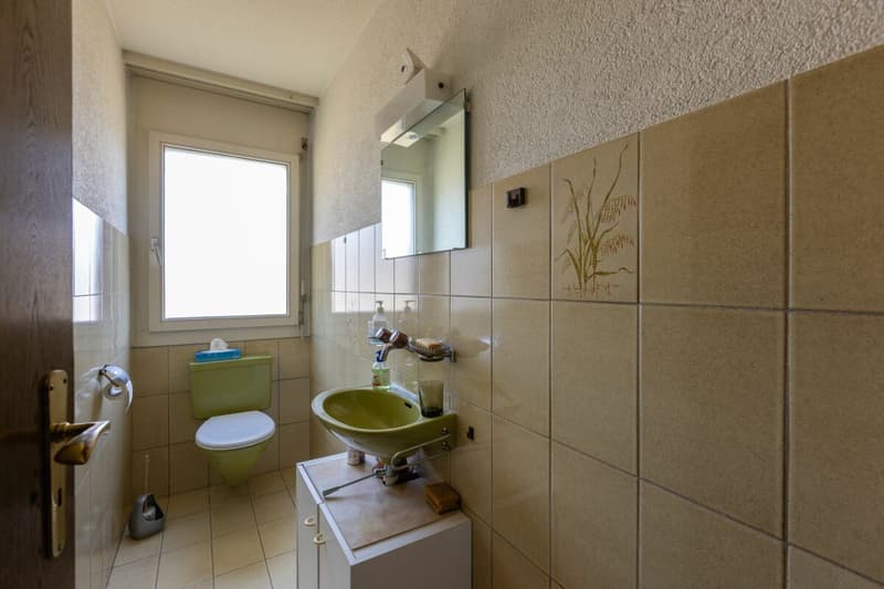 Sie suchen ein Zuhause im Grünen mit Potenzial, Ruhe und guter Erreichbarkeit? (18)