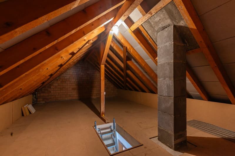 Sie suchen ein Zuhause im Grünen mit Potenzial, Ruhe und guter Erreichbarkeit? (21)