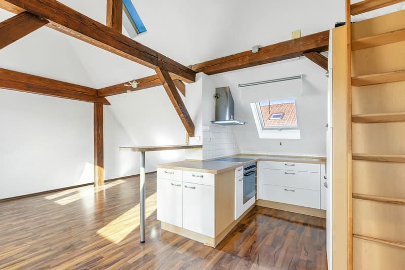 Viel Freiraum, Rheinsicht und Lebensqualität im einzigartig gelegenen Wohnhaus (21)