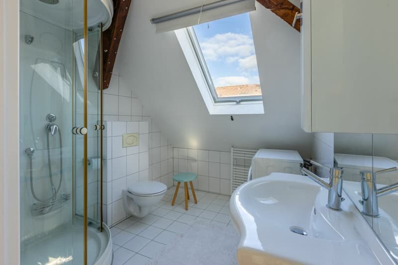 Viel Freiraum, Rheinsicht und Lebensqualität im einzigartig gelegenen Wohnhaus (17)