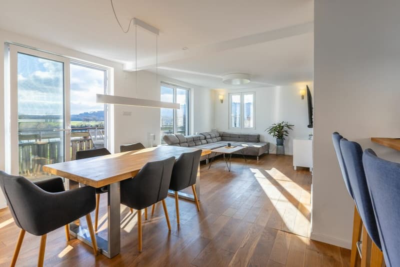 Viel Freiraum, Rheinsicht und Lebensqualität im einzigartig gelegenen Wohnhaus (12)