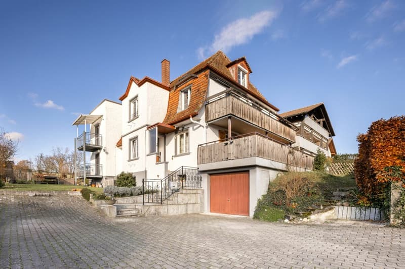 Viel Freiraum, Rheinsicht und Lebensqualität im einzigartig gelegenen Wohnhaus (43)